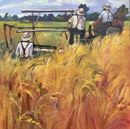 Amish Harvest