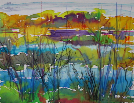 Haliburton Marshland