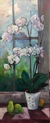 Orchid: Window Dressing Series
