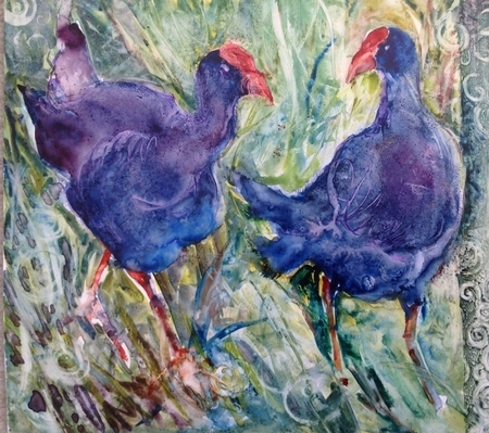 Cheeky Pukekoes Watercolour on Yupo