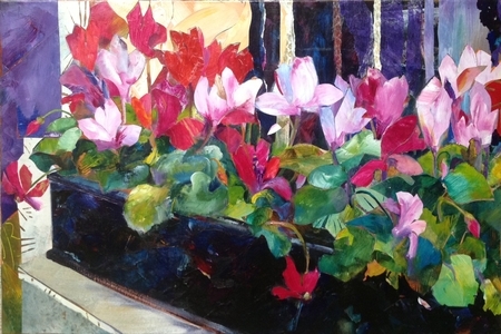 Window Box Dressing at the Monteleone, New Orleans